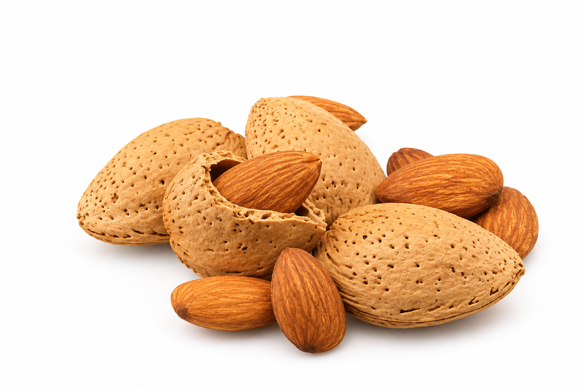 Almond Shell